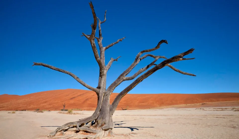 UK’s top court says definition of a woman based on biological sex